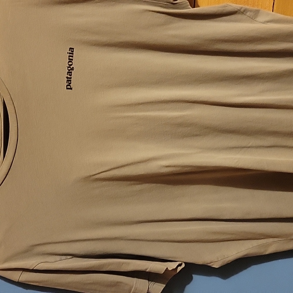Patagonia Tee
